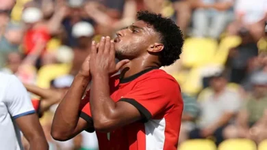 أسامة فيصل - البنك الأهلي - الدوري المصري